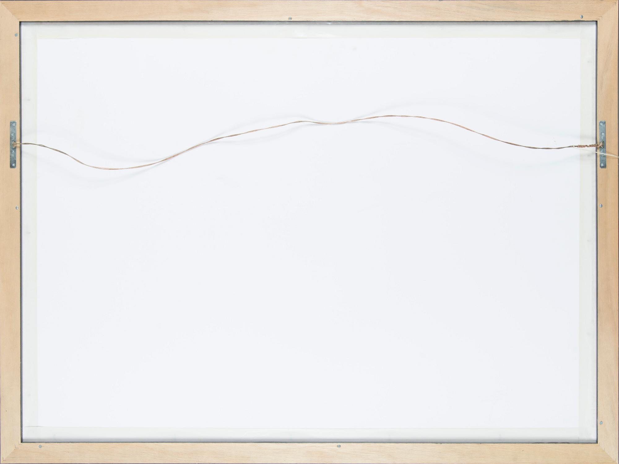 Juhani Linnovaara, "Suuri Amazon".