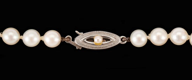 COLLIER, pärlor, odlade saltvattens pärlor med lås i silver.