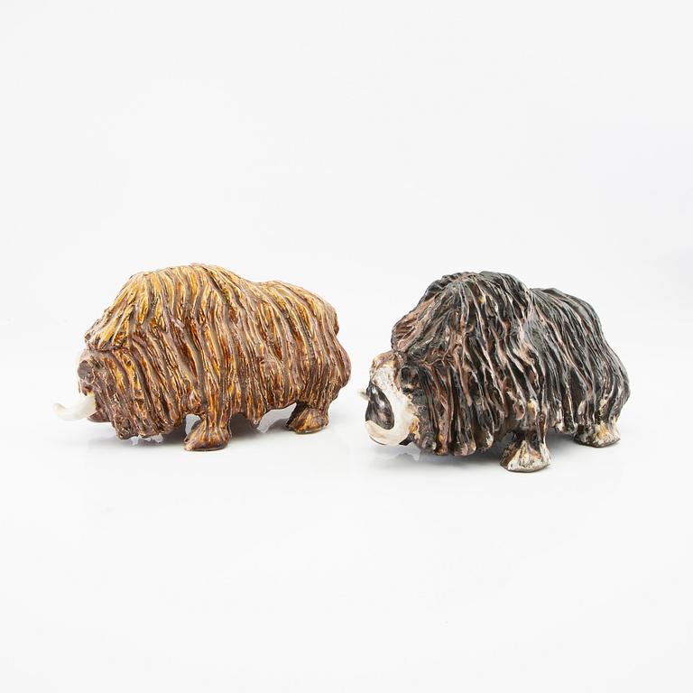 Tommy Assarsson, Musk Oxen a pair.