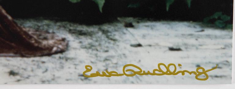 Ewa Rudling, photograph of Natassja Kinski, signed.