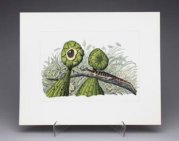 KARL AXEL PEHRSON, mapp med 10 färglitografier, "Vyer från Nirak", sign o numr 37/285. 1973.