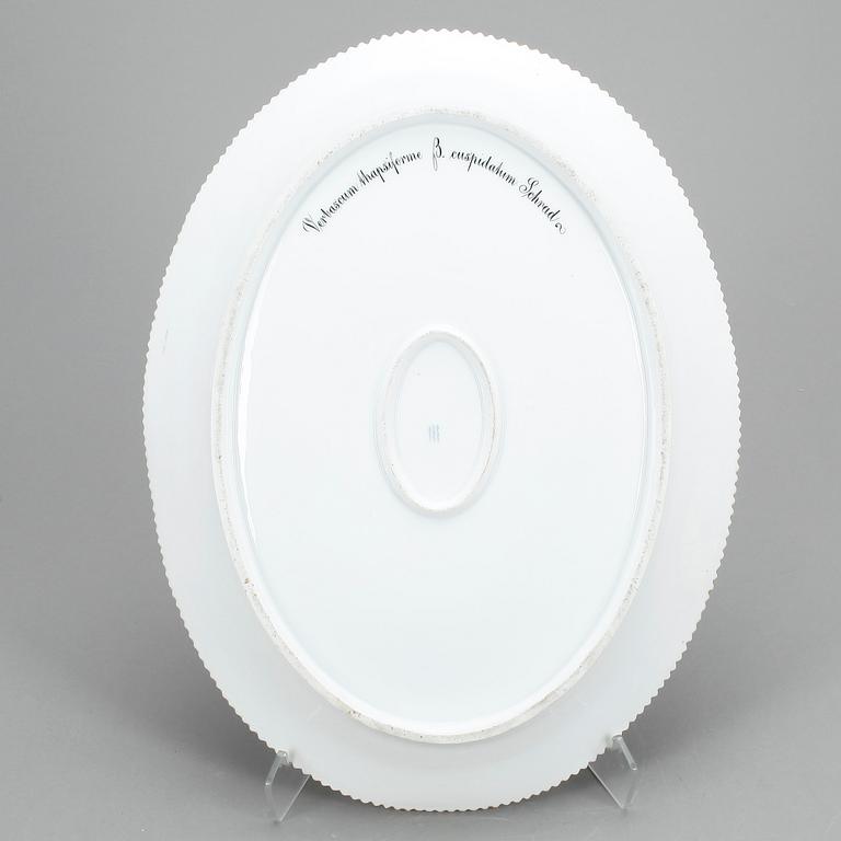 SERVERINGSFAT, porslin, "Flora Danica", Royal Copenhagen.
