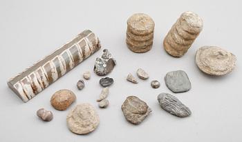 SAMLING FOSSILER, ca 18 st.