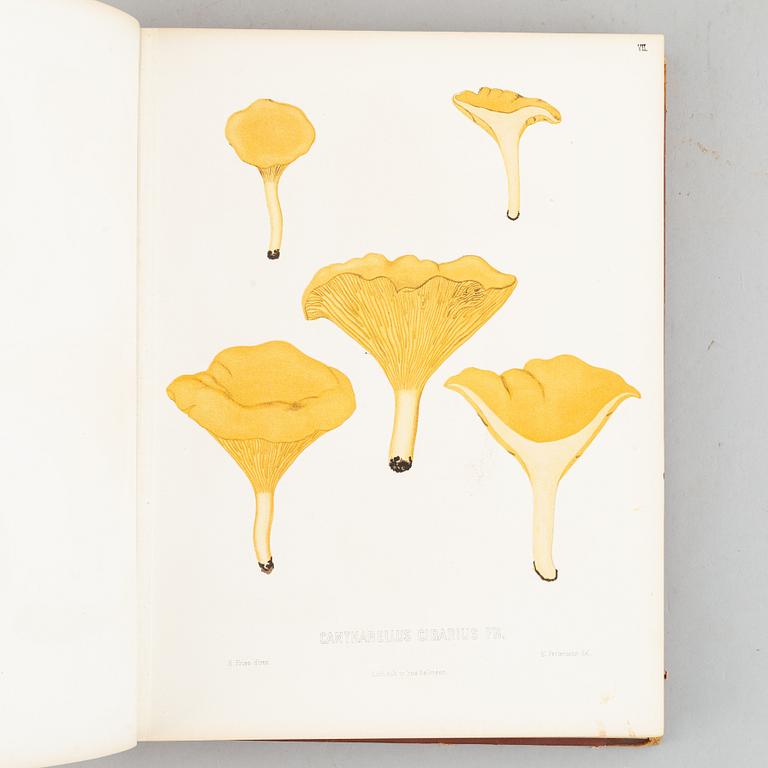 With 94 chromolithographs of mushrooms.
