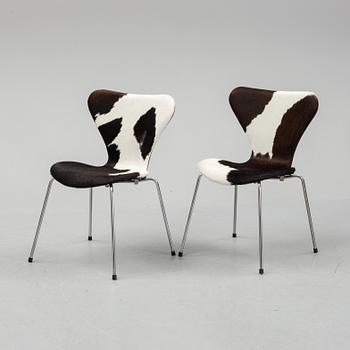 Arne Jacobsen, stolar, 6 st, "Sjuan", för Fritz Hansen, Danmark, 1900-talets andra hälft.
