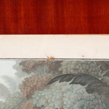 Six etchings in color by Charles-Melchior Descourtis after Jean-Frederic Schall, 18th or 19th century.