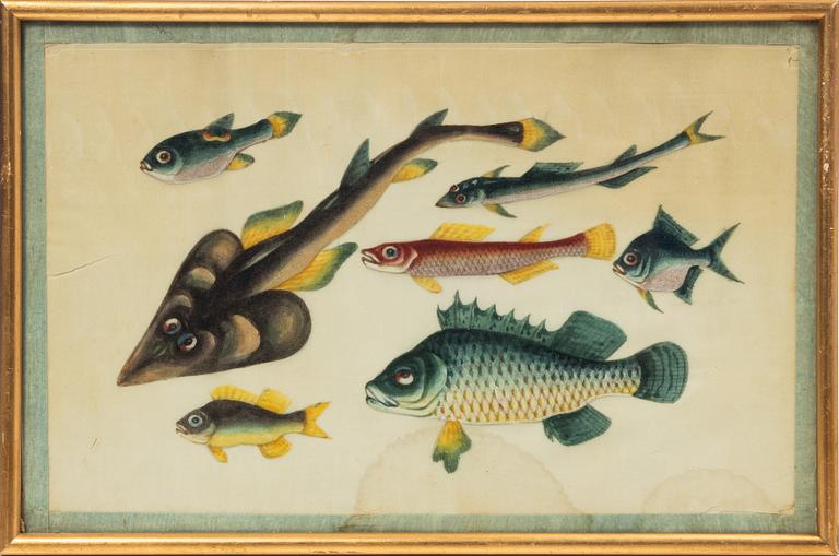 Rispappersmålningar, 9 stycken. Qingdynastin, 1800-tal.