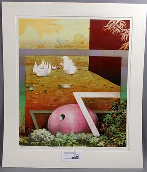 CARL OTTO HULTÉN, färglitografi, sign o numr 202/225.