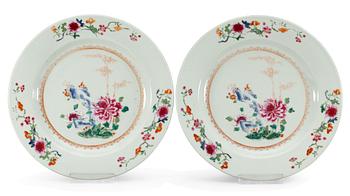 217. A pair of famille rose plates, Qing dynasty. Qianlong (1736-95).