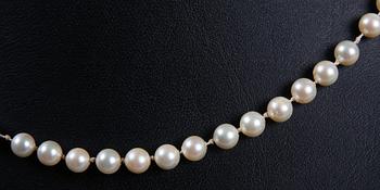 PÄRLCOLLIER.