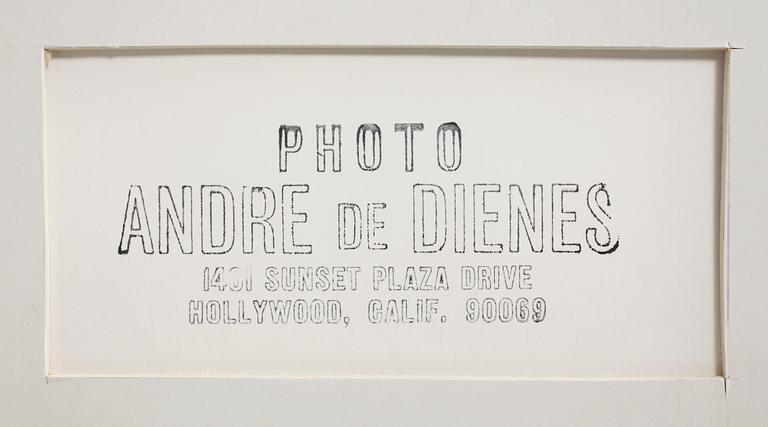 ANDRÉ DE DIENES, silvergelatinfotografi, stämpelsign á tergo.