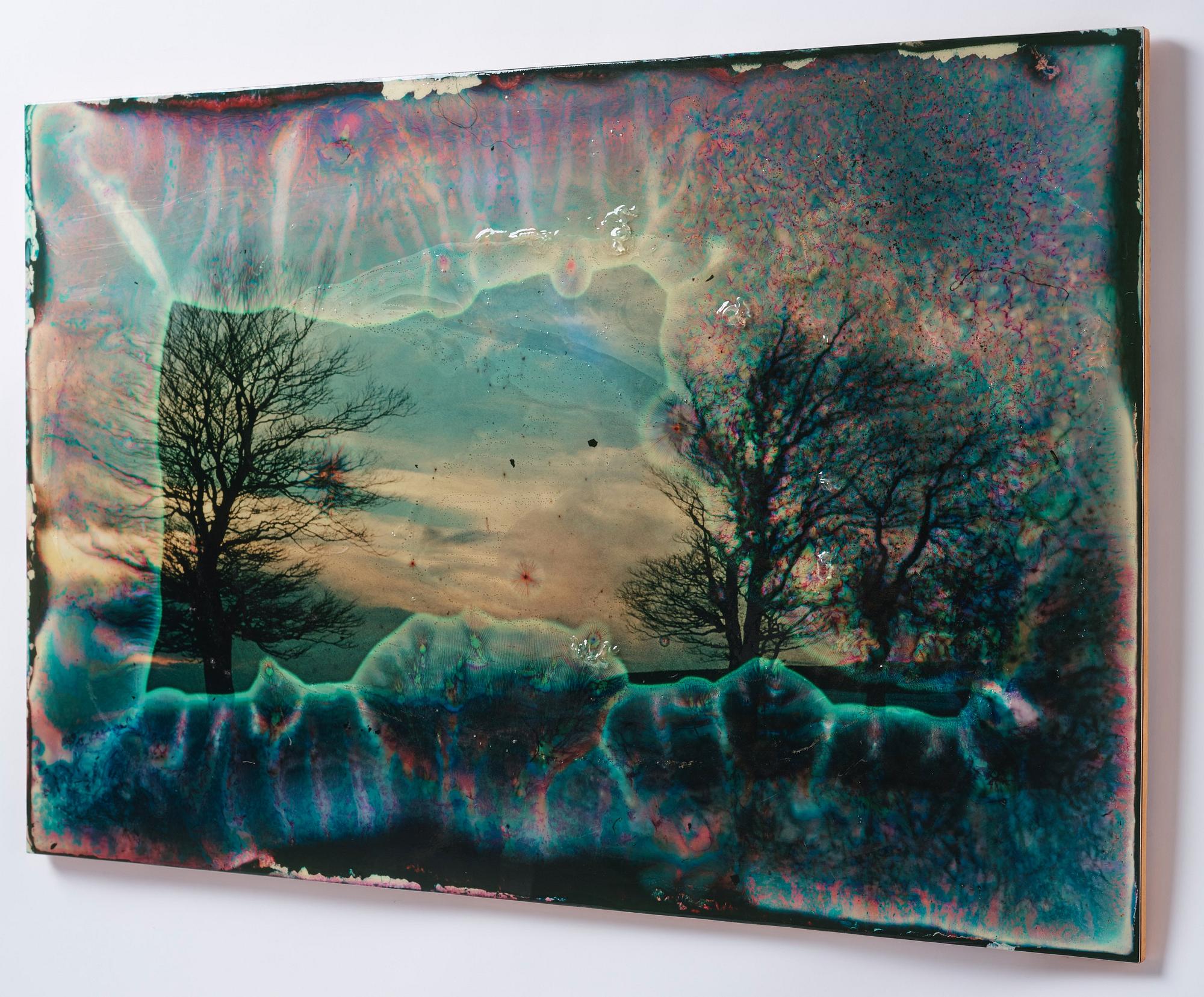 Wolfgang Ganter, "Untitled (Two Trees)".