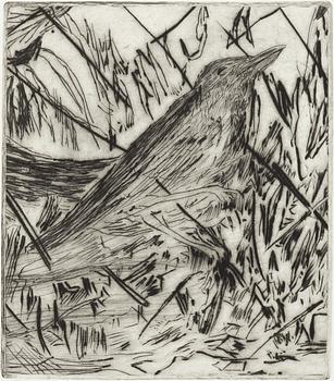 Hans Wigert, bird.