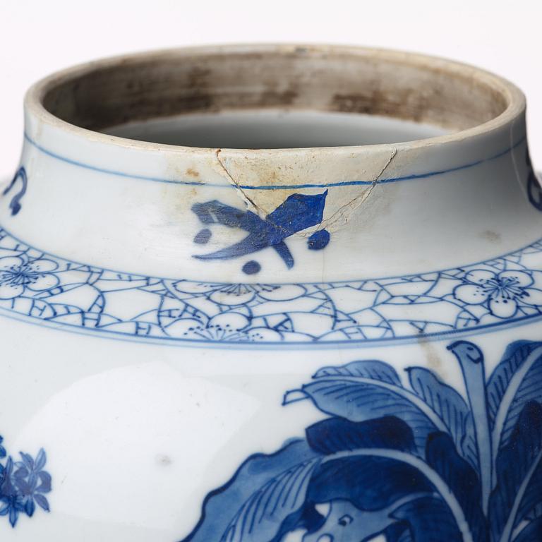 A blue and white 'ladies' jar with cover, Qing dynasty, Kangxi (1662-1722).