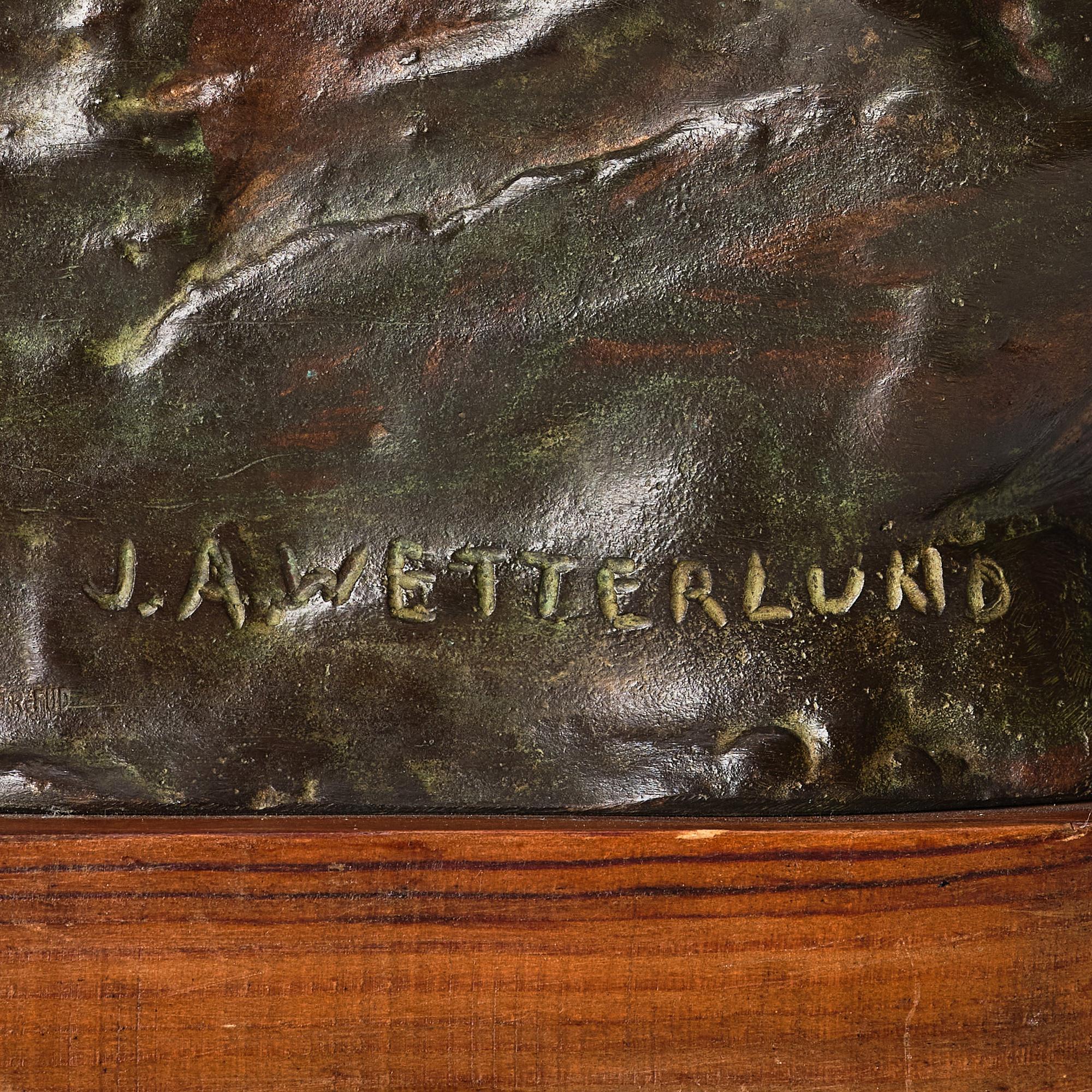 Johan Axel Wetterlund, Mountain lion.