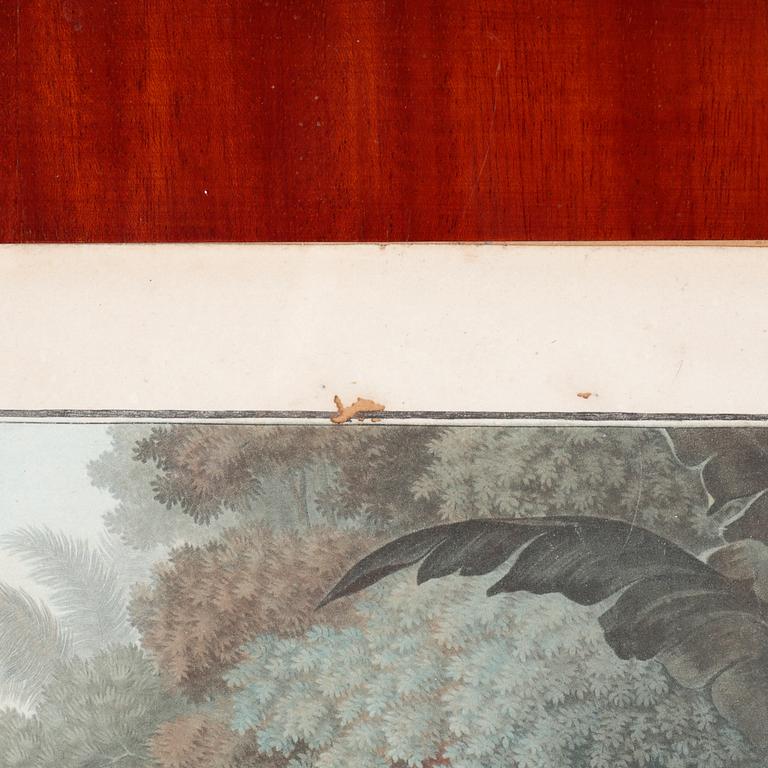 Six etchings in color by Charles-Melchior Descourtis after Jean-Frederic Schall, 18th or 19th century.