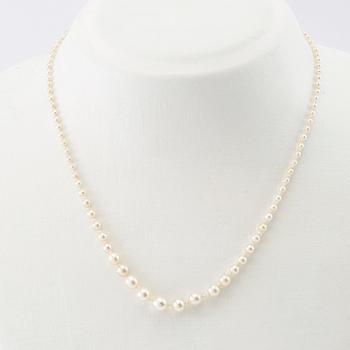 Necklace possibly cultured pearls with a clasp of 18K gold set with diamonds and a blue stone.