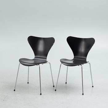 Arne Jacobsen, 7 'Serie 7' chairs, Fritz Hansen 20th century.