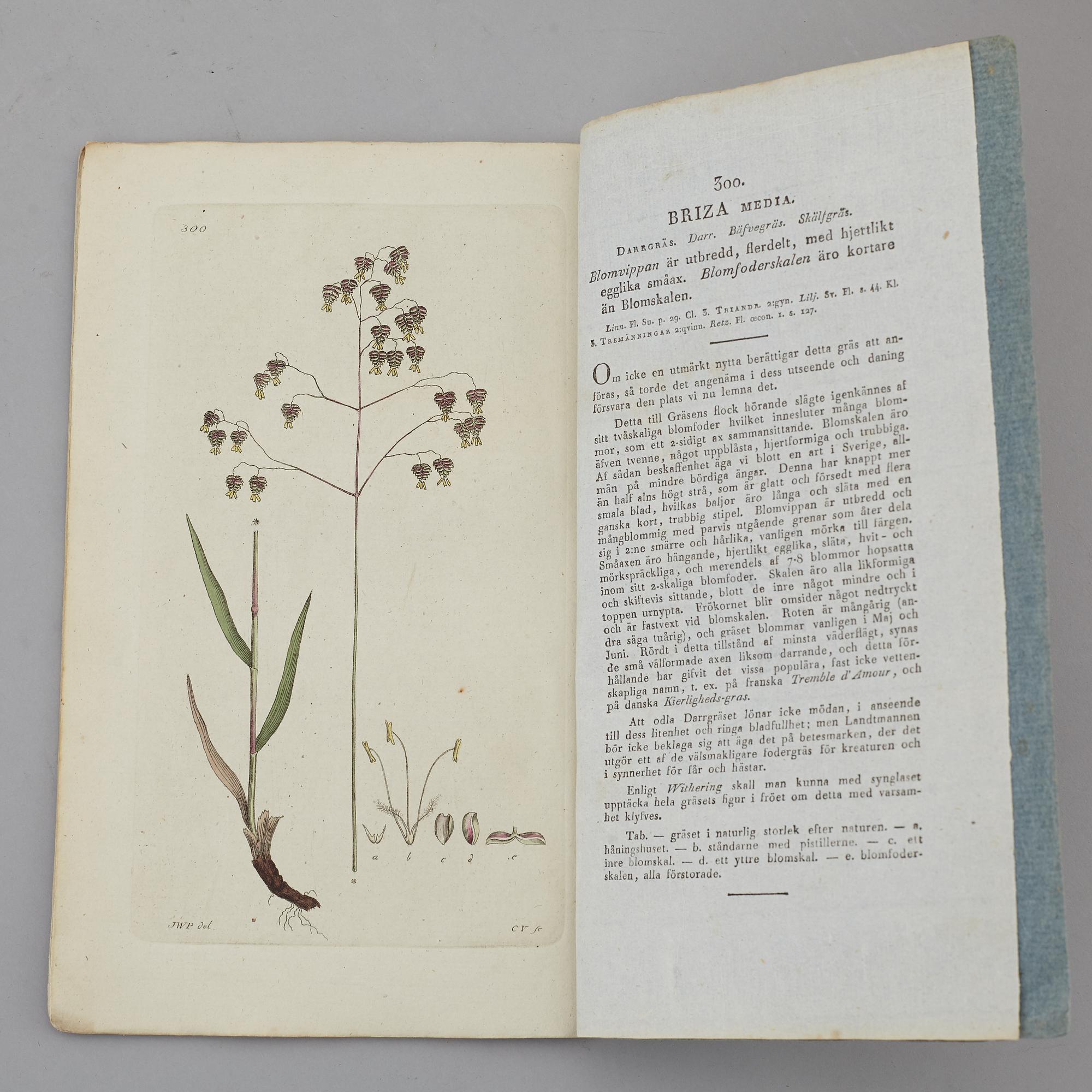 JOHAN WILHELM PALMSTRUCH, "Svensk Botanik, vol I-V. 1803-1805.