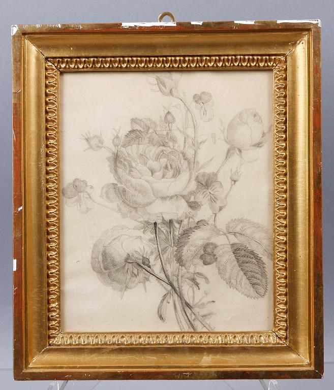 CHARLOTTA TAUBE, teckning. 1800-tal.