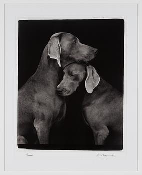 WILLIAM WEGMAN, a signed photograph, dated -09.