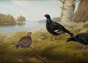 Ferdinand von Wright, Black Grouse in a Coastal Landscape.