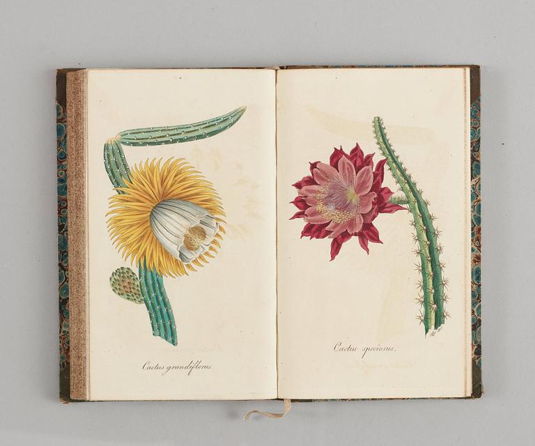 J. E. VON REIDER, Annalen Der Blumisterei für gartenbesitzer, Kunstgärtner, Saamenhändler und Blumenfreunde, 12 vol.