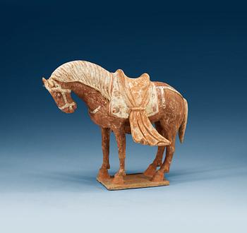 1219. A painted pottery figure of a horse, Northern Wei) (386-535).