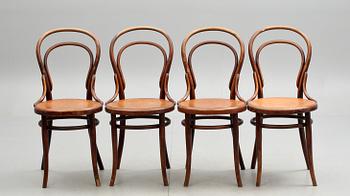 STOLAR, 4 st, Thonet, Wien. 1900-talets början.