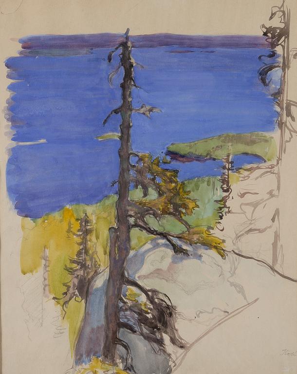 EERO JÄRNEFELT, VIEW FROM KOLI.