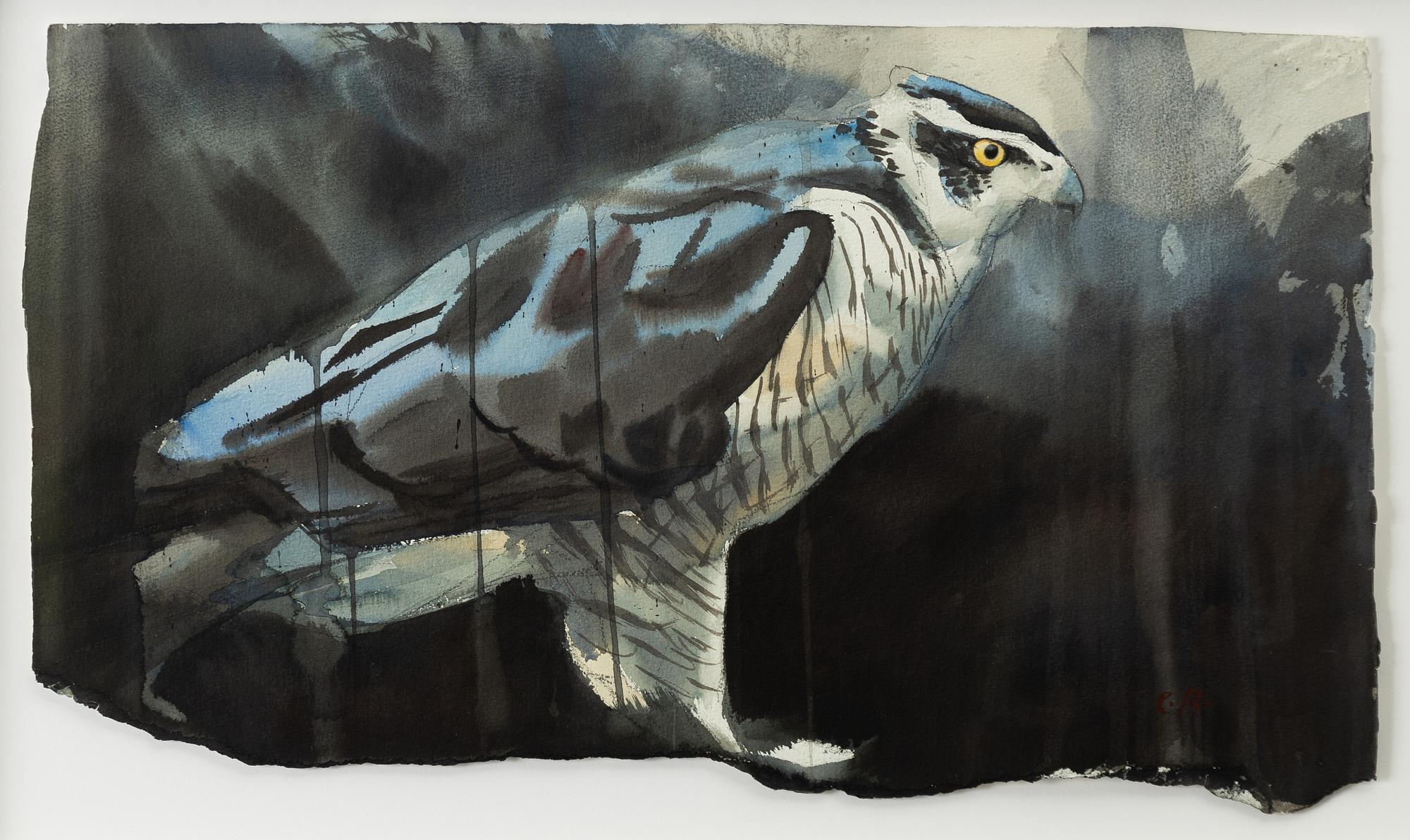 Emanuel Bernstone, Goshawk.