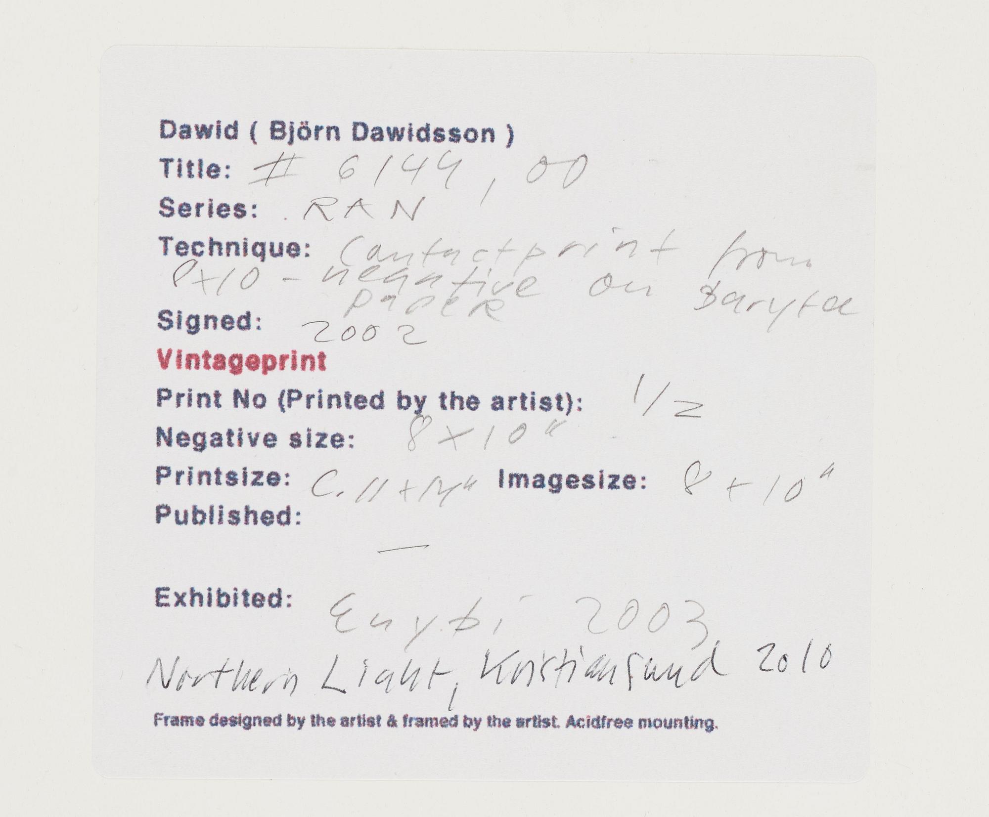 Dawid (Björn Dawidsson), "#6144" ur serien RAN, 2000.