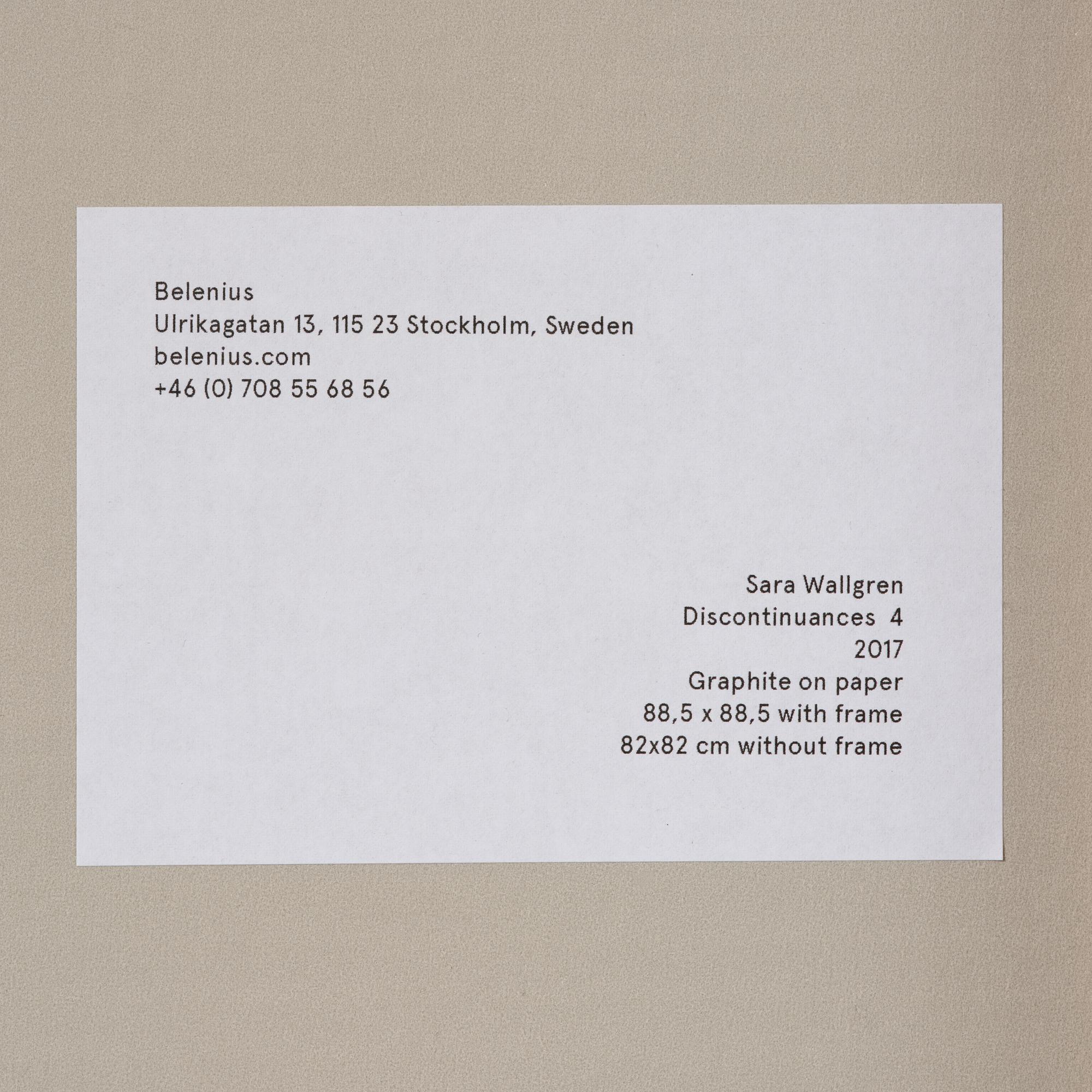 Sara Wallgren, "Discontinuances 4".