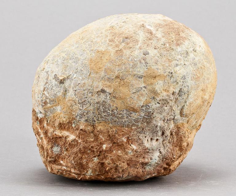 DINOSAURIEÄGG, fossil.