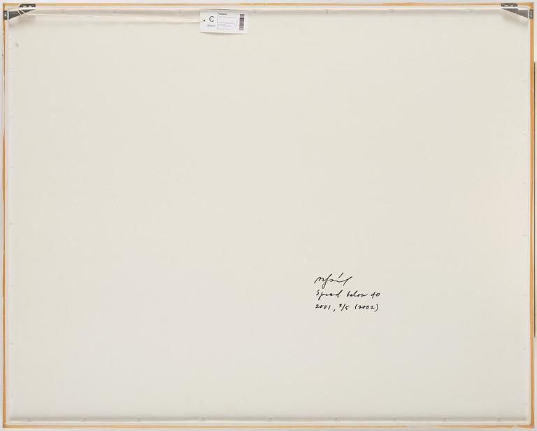 Miklos Gaàl, "Speed Below 40", 2001/2002.