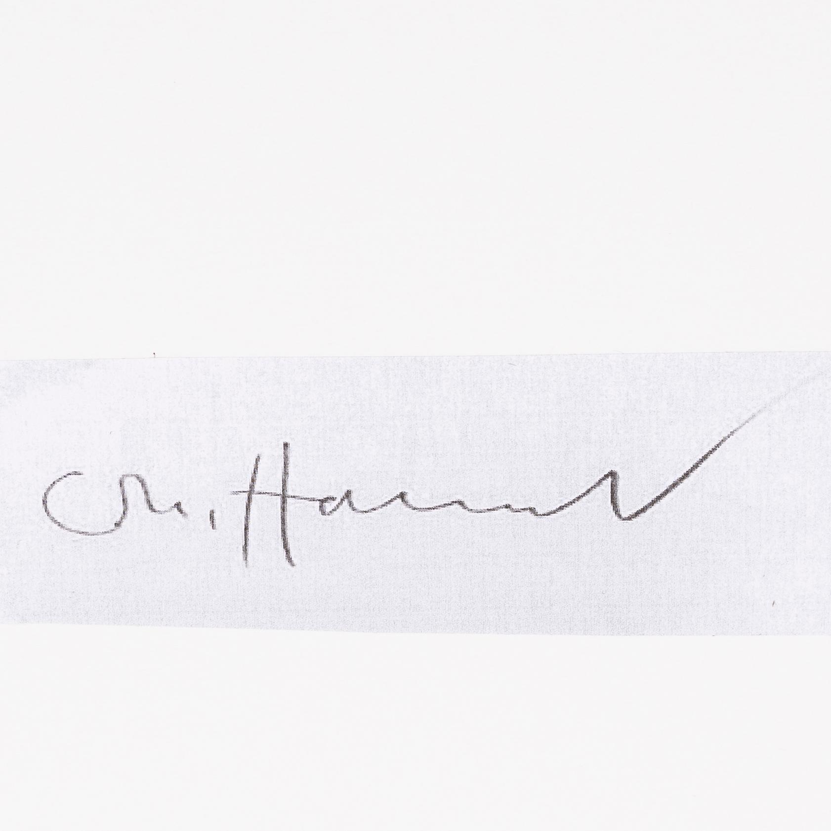 Carl Michael von Hausswolff, blandteknik/collage på papper, 2008, signerad 5/6.