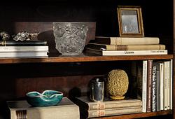 The Curated Shelf