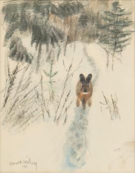 Harald Wiberg, Hare.