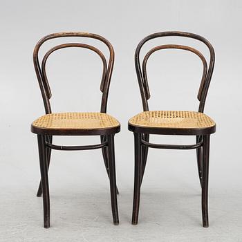 Stolar 8 st, Thonet-typ, 1900-talets första hälft.
