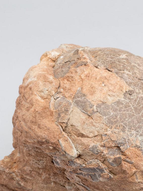 DINOSAURIEÄGG, fossil, enligt intyg omkring 65 milj år gamla.