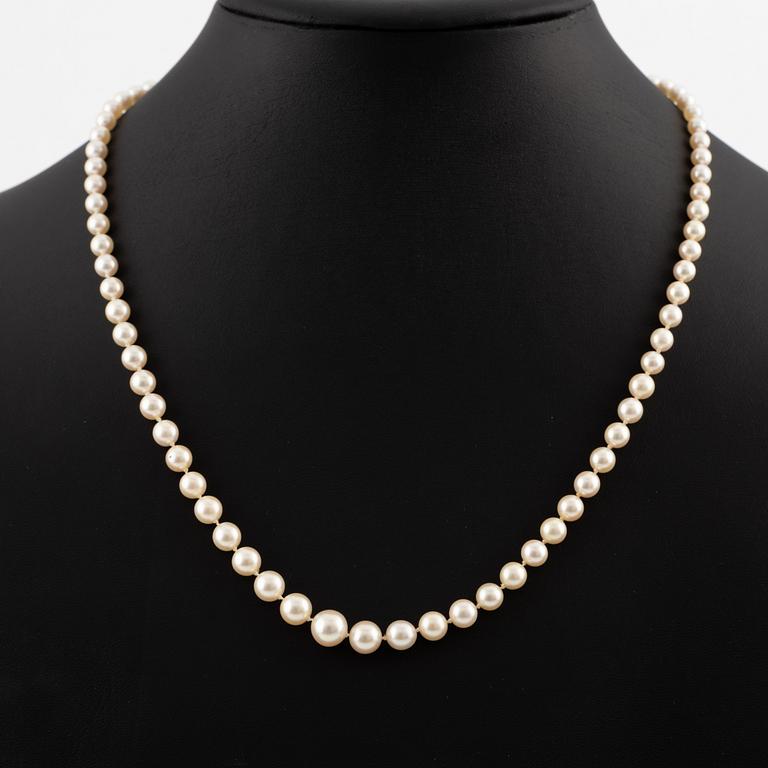 Pärlcollier, doserade odlade pärlor, lås, Alton, 18K vitguld med vit fasettslipad sten.