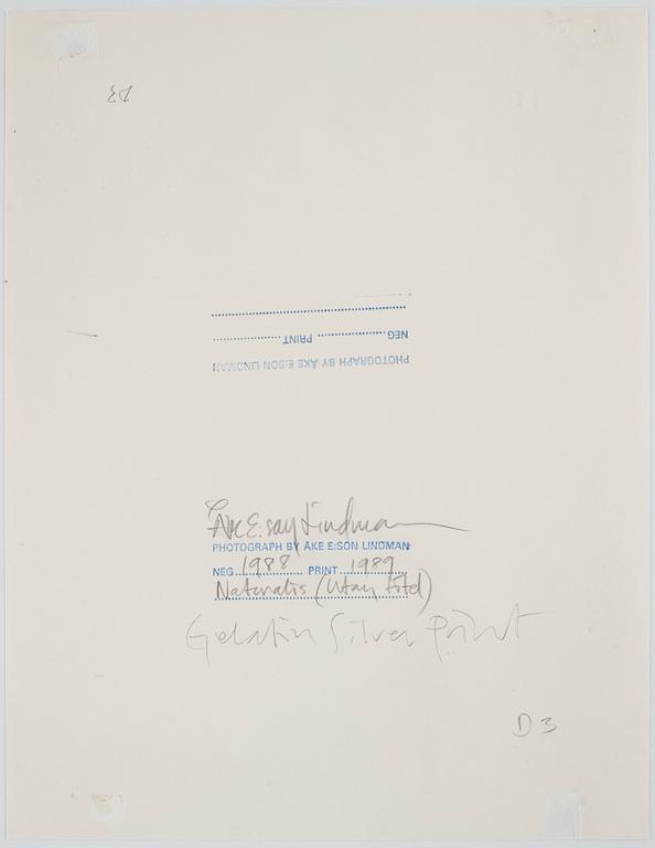 Åke E:son Lindman, "Naturalis (Utan titel)", 1988.