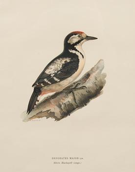 LITHOGRAPHS, 3 pcs, after Wilhelm von Wright and Bror Hallberg. A. Börtzell, Stockholm.