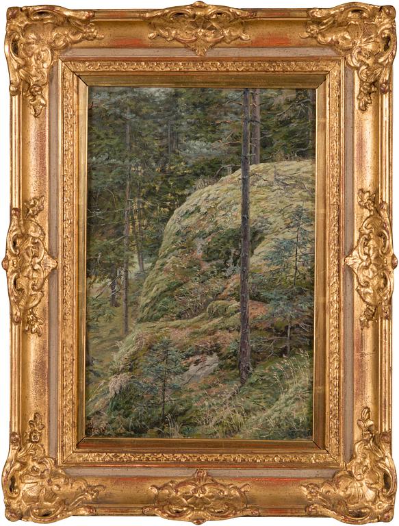 Berndt Lindholm, Skogsvy.