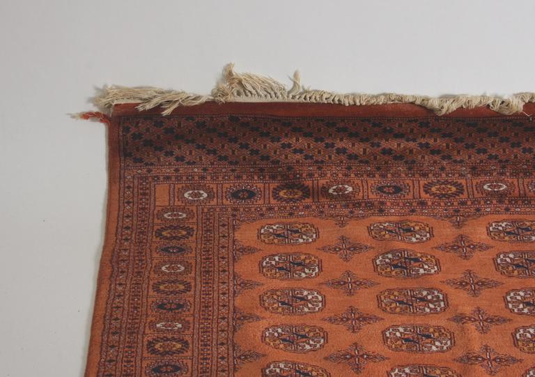 MATTA, Pakistan. 243 x 162.