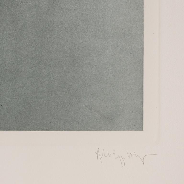 Robert Mapplethorpe, "Untitled (Lily)", 1983.