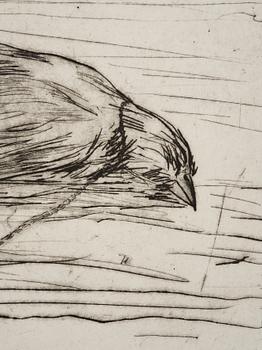 Hans Wigert, Dead Bird.