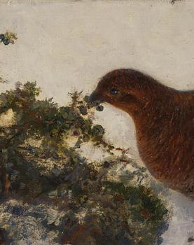 Bruno Liljefors, Capercaillie in winter landscape.