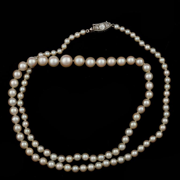 COLLIER, odlade saltvattenspärlor, lås i 14k vitguld med gammalslipade diamanter mittsten ca0,16. 1900-talets mitt.