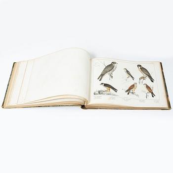 Carl J. Sundevall & Peter Åkerlund, three books, 'Svenska Foglarna'.